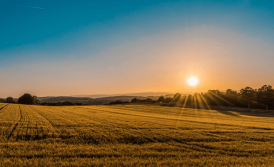 Temporary residence permit in Ukraine: renewal