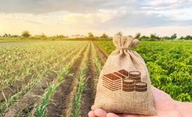 Are there restrictions on foreign ownership of agricultural land in Ukraine?