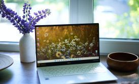 A Guide for Foreign IT Specialists: Living and Working in Ukraine