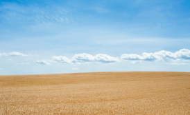 Temporary residence permit in Ukraine: benefits